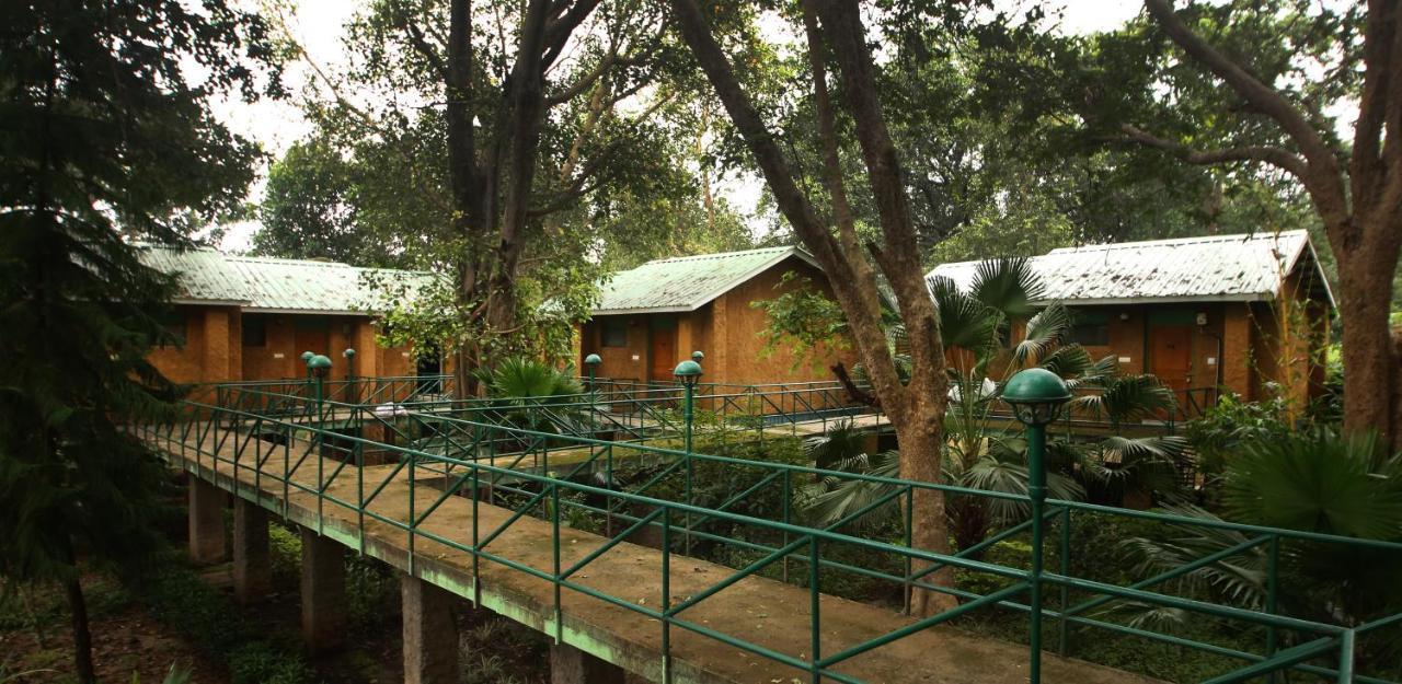 Mpt White Tiger Forest Lodge Tala  ภายนอก รูปภาพ